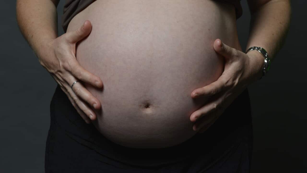 Pregnancy stock in Sydney