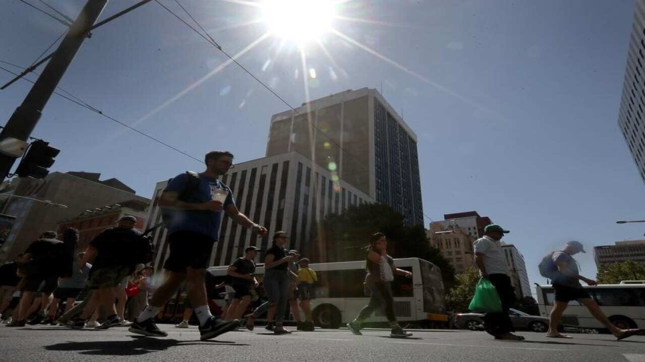 Pedestrians