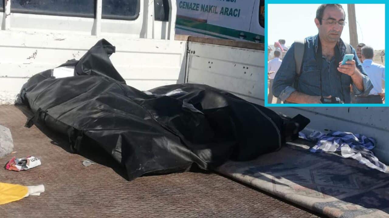 Image for read more article ''