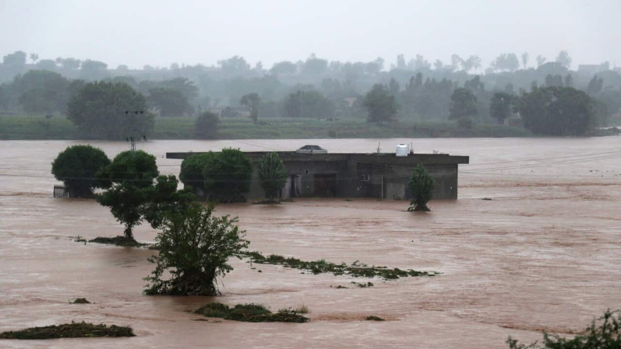 Image for read more article 'READ MORE'