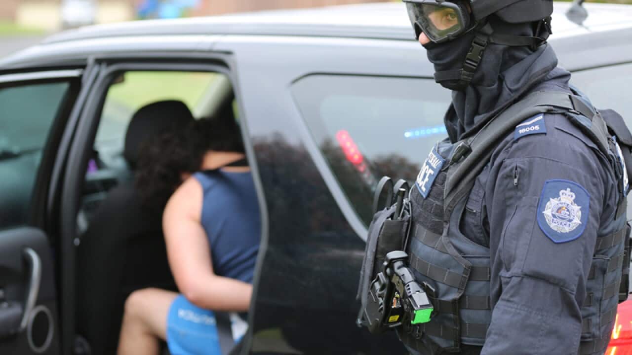 AFP officers during an operation at Raby in south-west Sydney