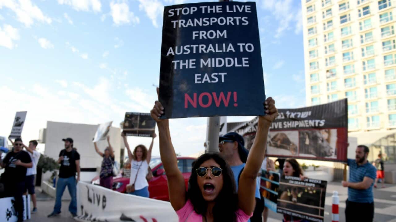 Tierschützer gehen auf die Barrikaden