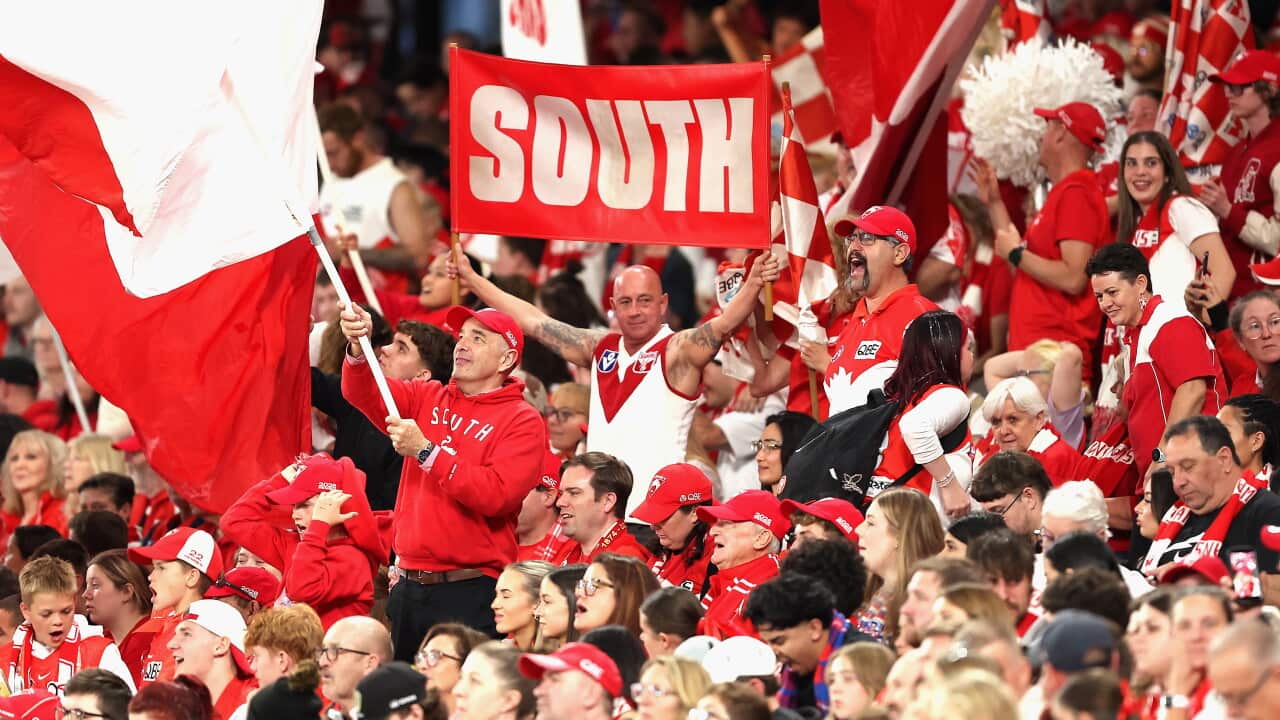 AFL BULLDOGS SWANS