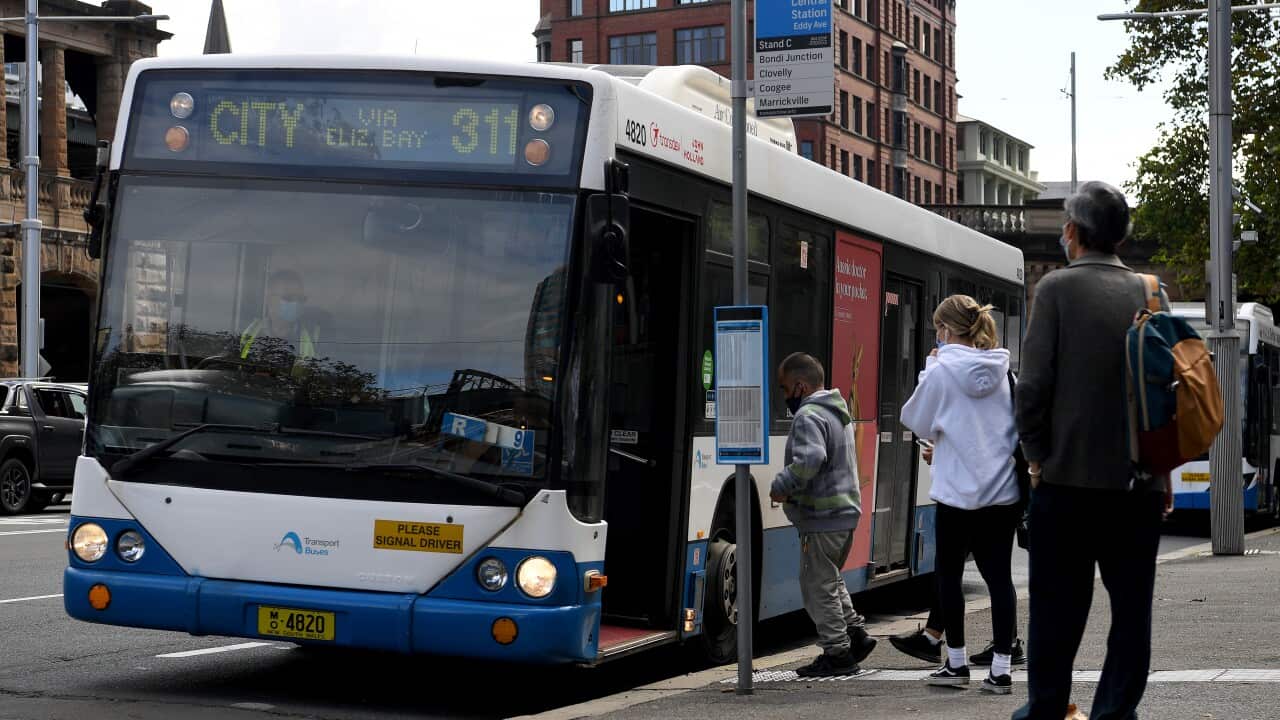 FREE PUBLIC TRANSPORT IN SYDNEY