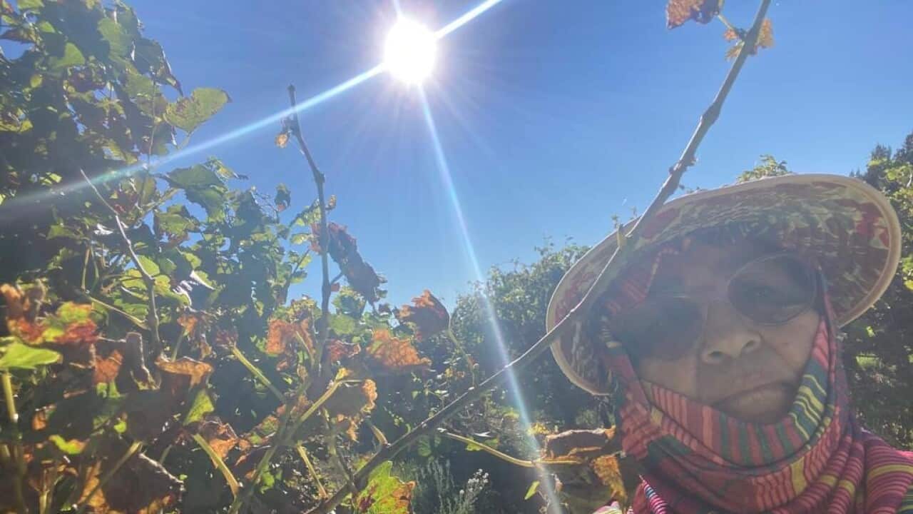 Image for read more article ''