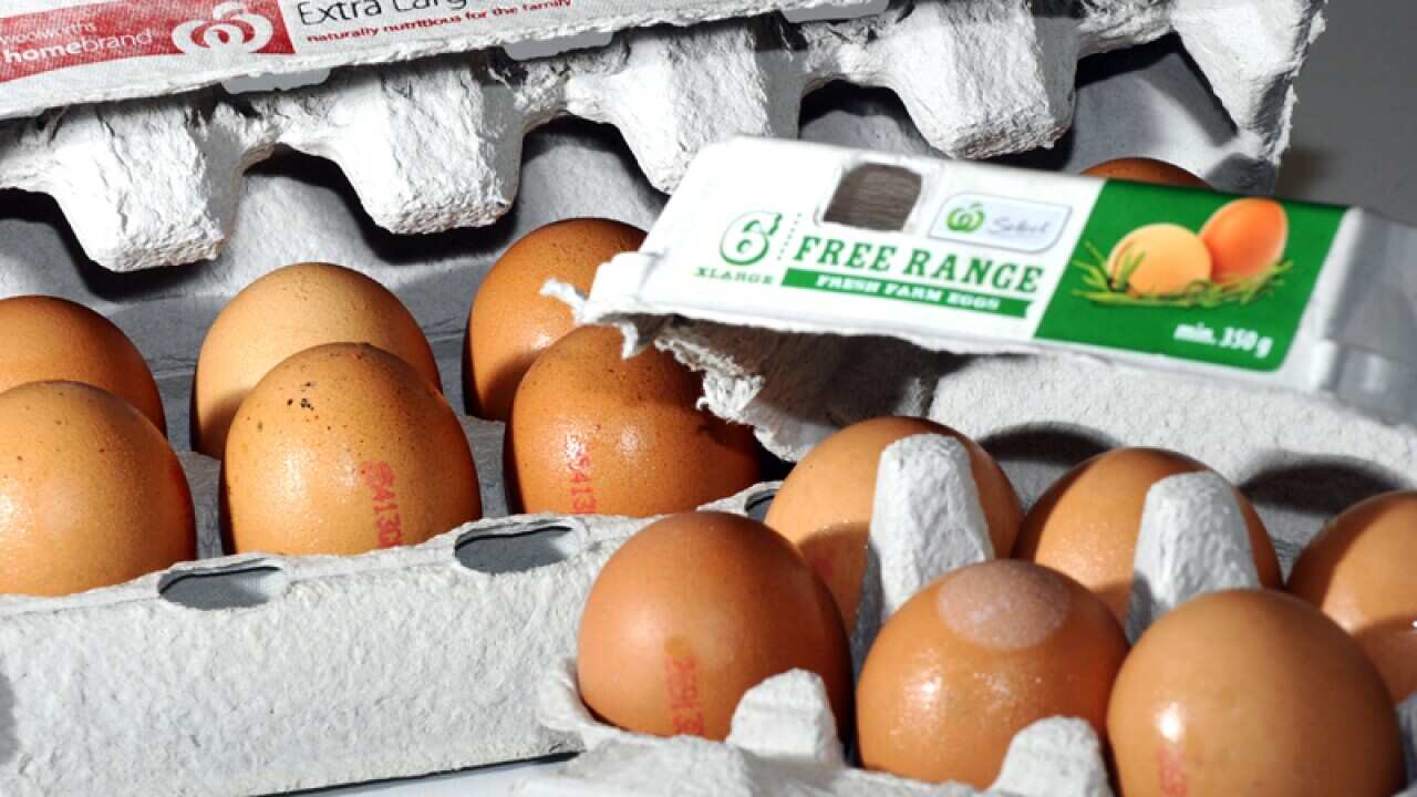Free range eggs and caged eggs