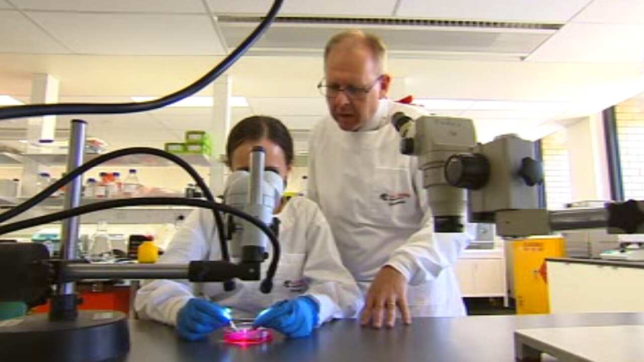 The therapy has found an intravenous delivery of placental stem cells could reduce brain injury.