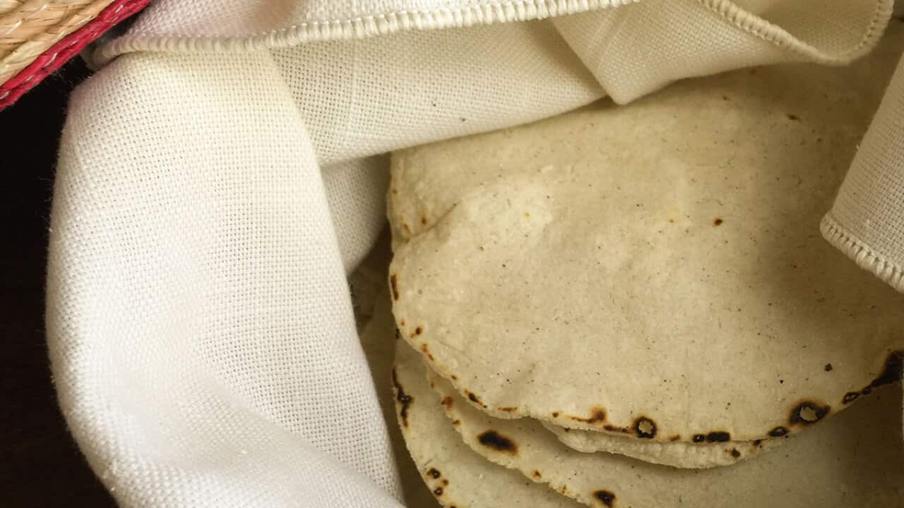 Corn tortillas