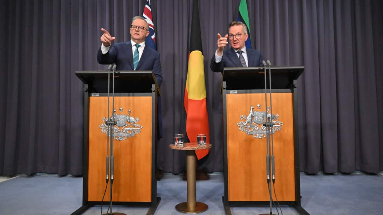 Anthony Albanese and Chris Bowen standing at separate lecterns. Both are pointing. They're in front of a blue curtain and Australian, Aboriginal and Torres Strait Islander flags.