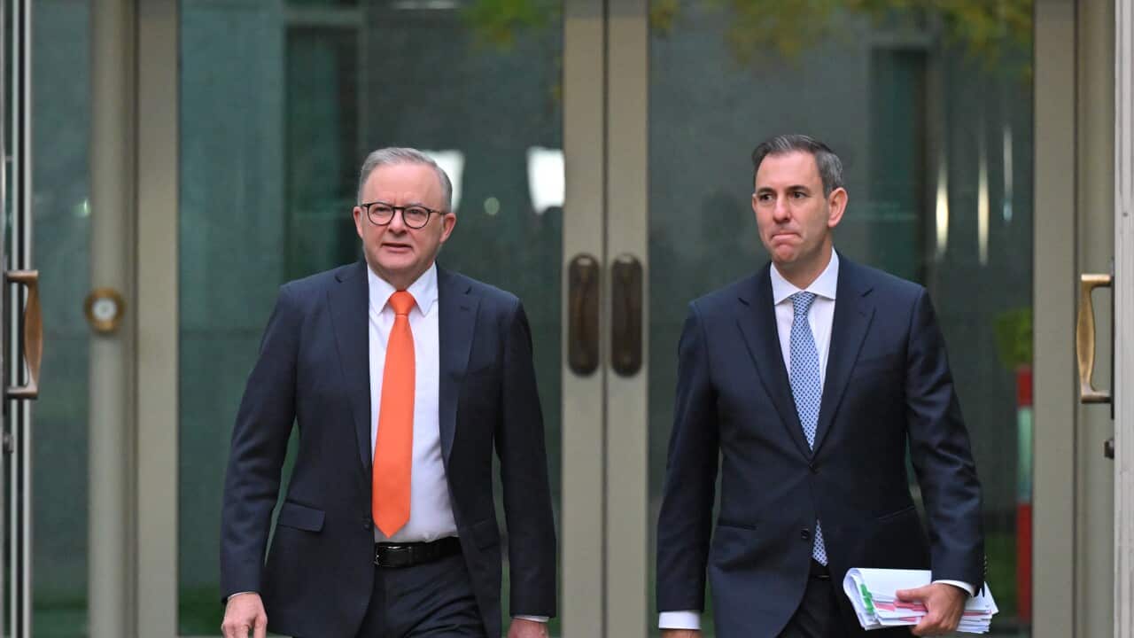 ANTHONY ALBANESE JIM CHALMERS BUDGET REAX