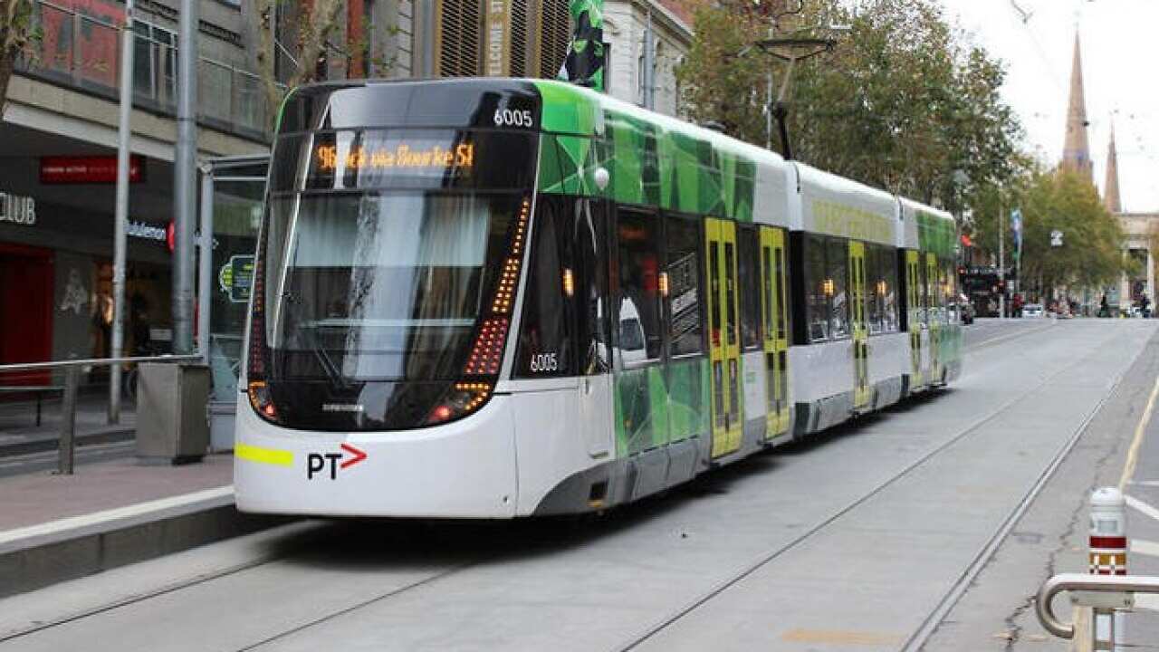 Melbourne trams could be in breach of disability access laws, a new report has found.