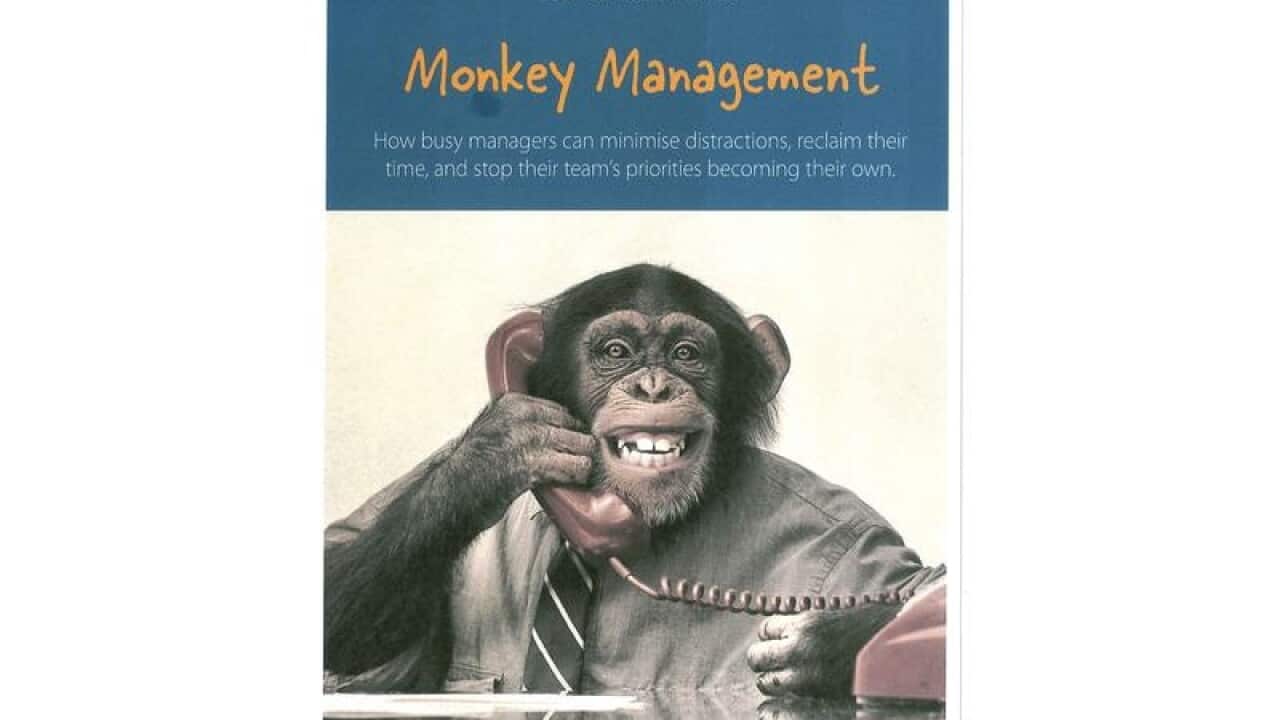 The 'Monkey Management' training document