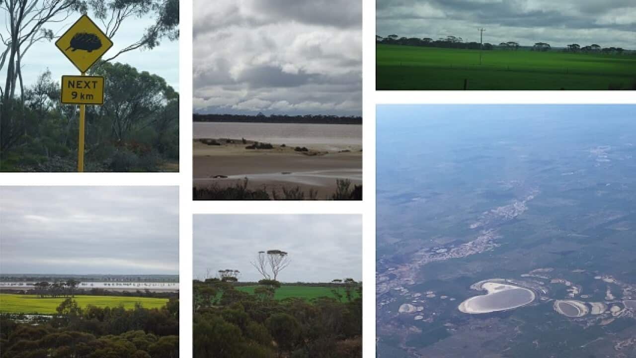 lake grace in Western Australia
