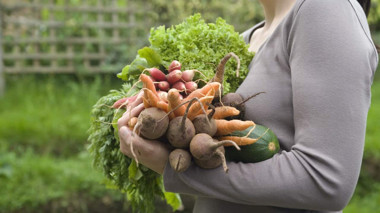 Woman standing outside holding home grown vegetables