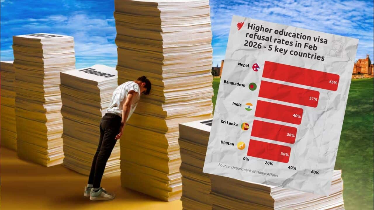 SBS Sinhala visa refusal feb 2026.jpg