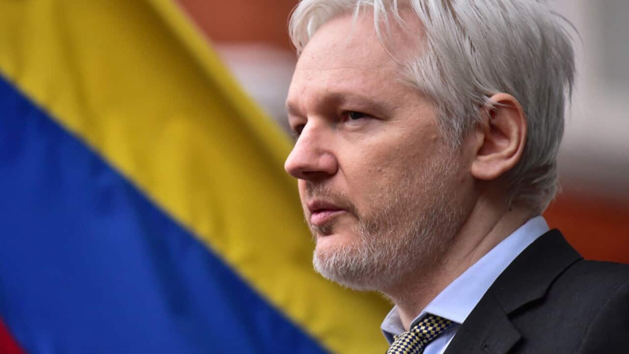 WikiLeaks founder Julian Assange