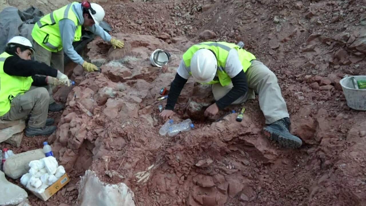 Researchers working on the Thanatosdrakon fossil (Reuters).jpg