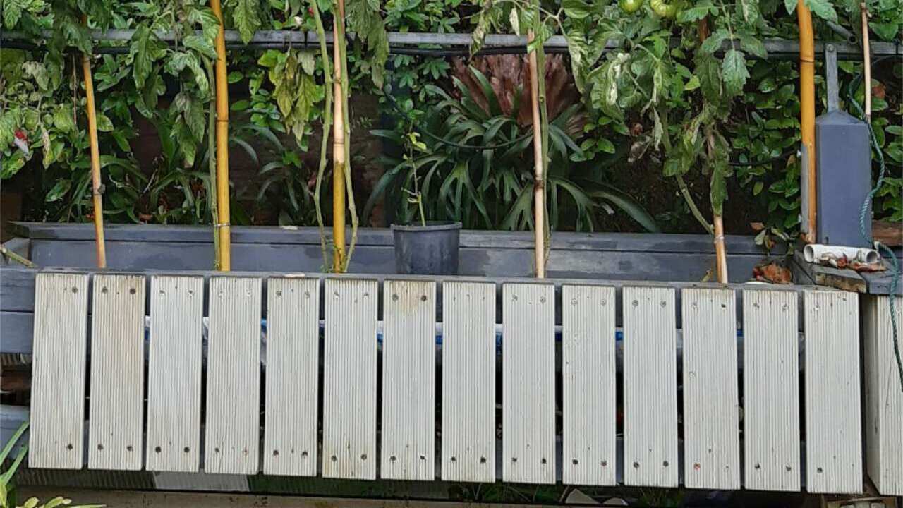 Image for read more article 'READ MORE'