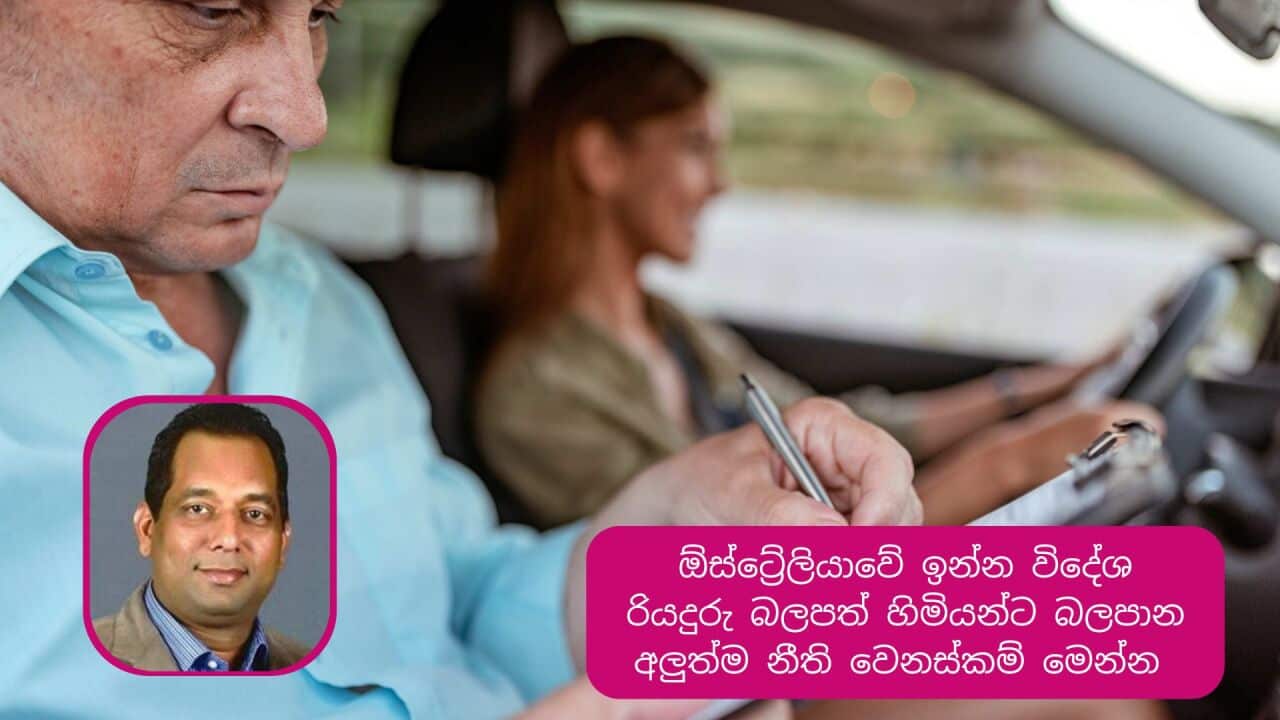 SBS SInhala Image (2).jpg