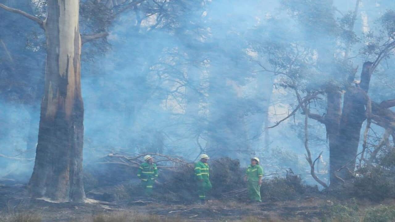 Firefighters inspect burnt out bushland in March in Victoria.