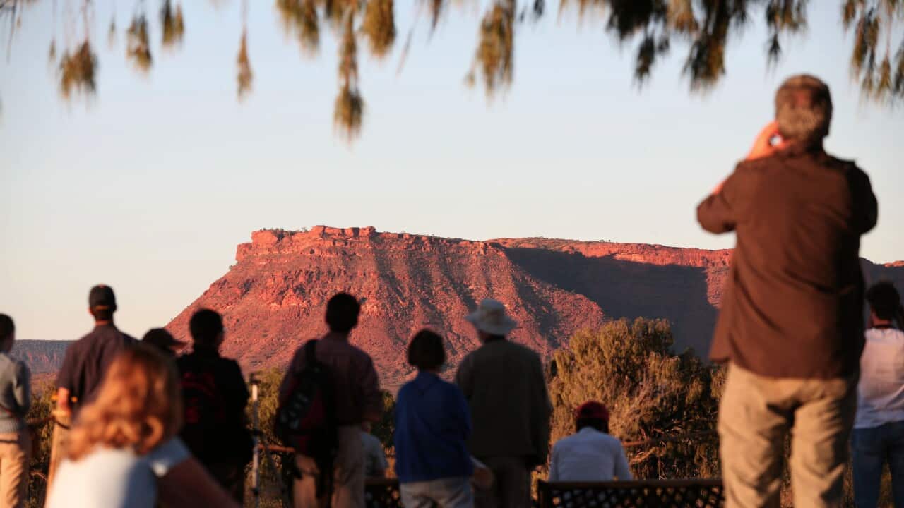 INDIGENOUS AUSTRALIANS STOCK