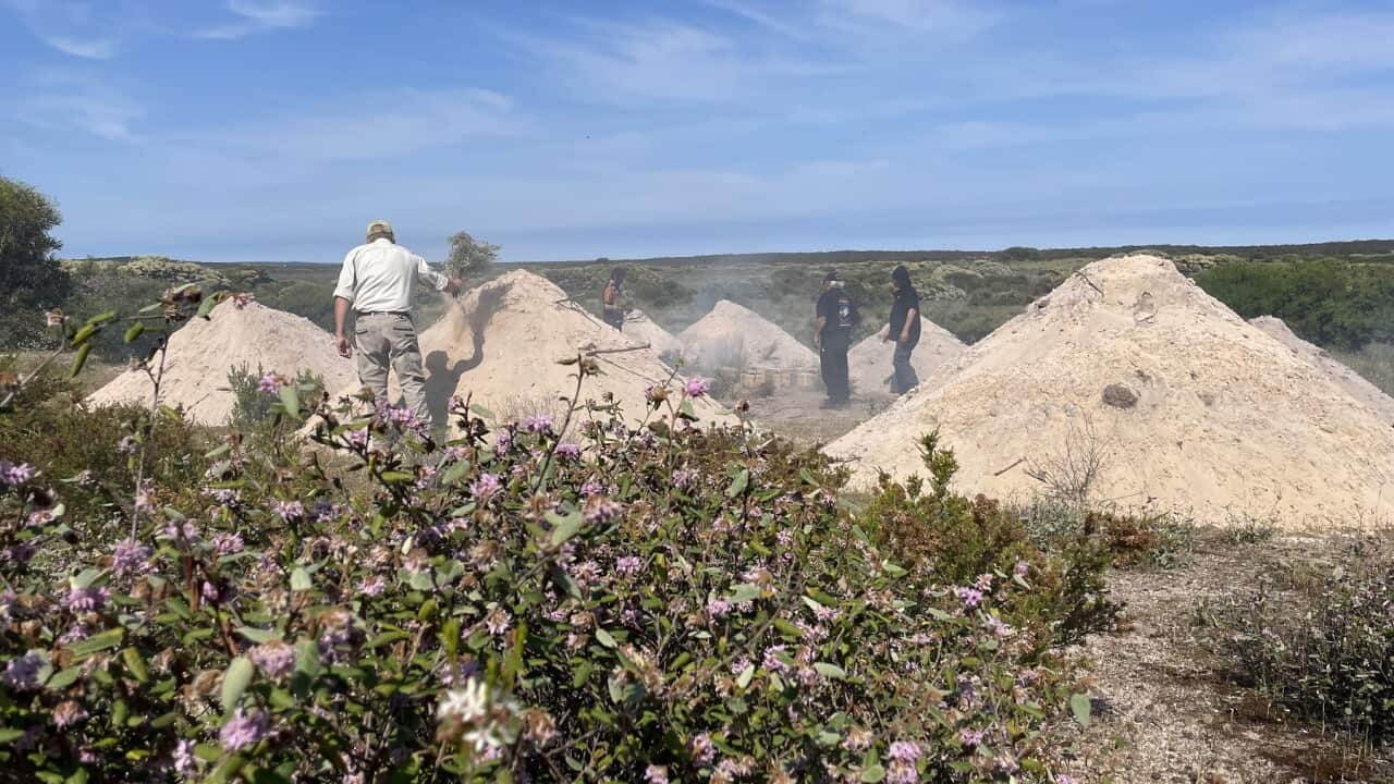 Image for read more article 'READ MORE'