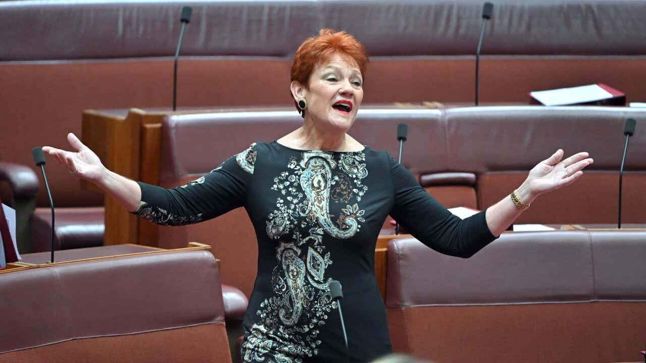 One Nation Leader Pauline Hanson in the Senate chamber at Parliament House (AAP)