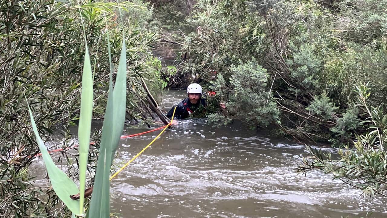 An emergency rescue worker in rapid waters