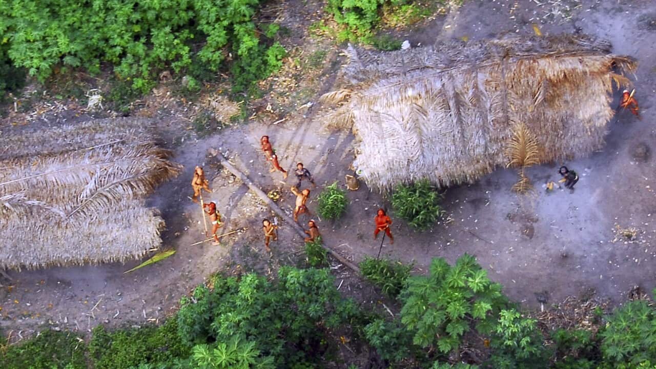 Uncontacted tribes Amazon