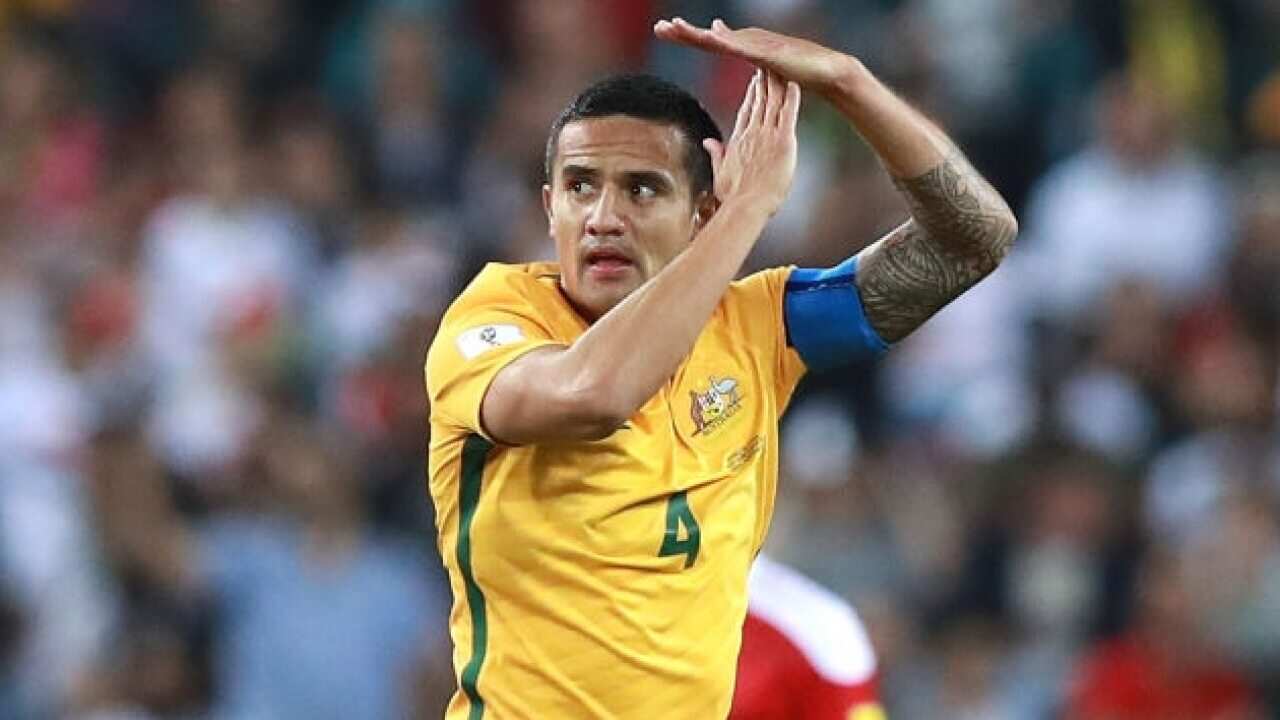 Tim Cahill