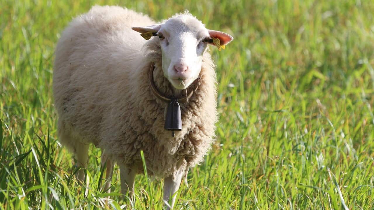 Image for read more article 'READ MORE'