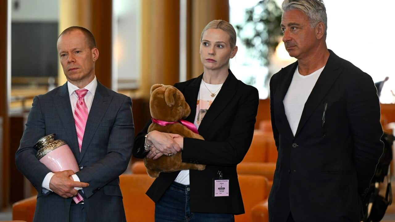 SOCIAL MEDIA PETITION PRESSER