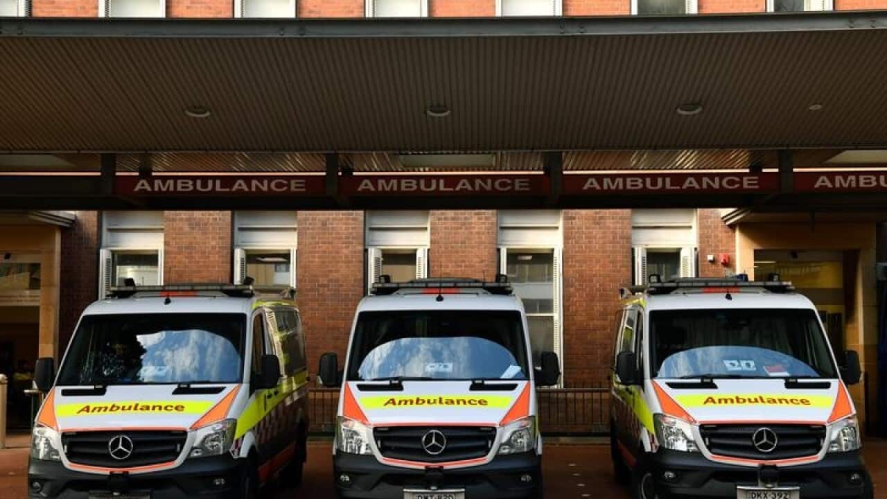 HEALTH PRODUCTIVITY REPORT