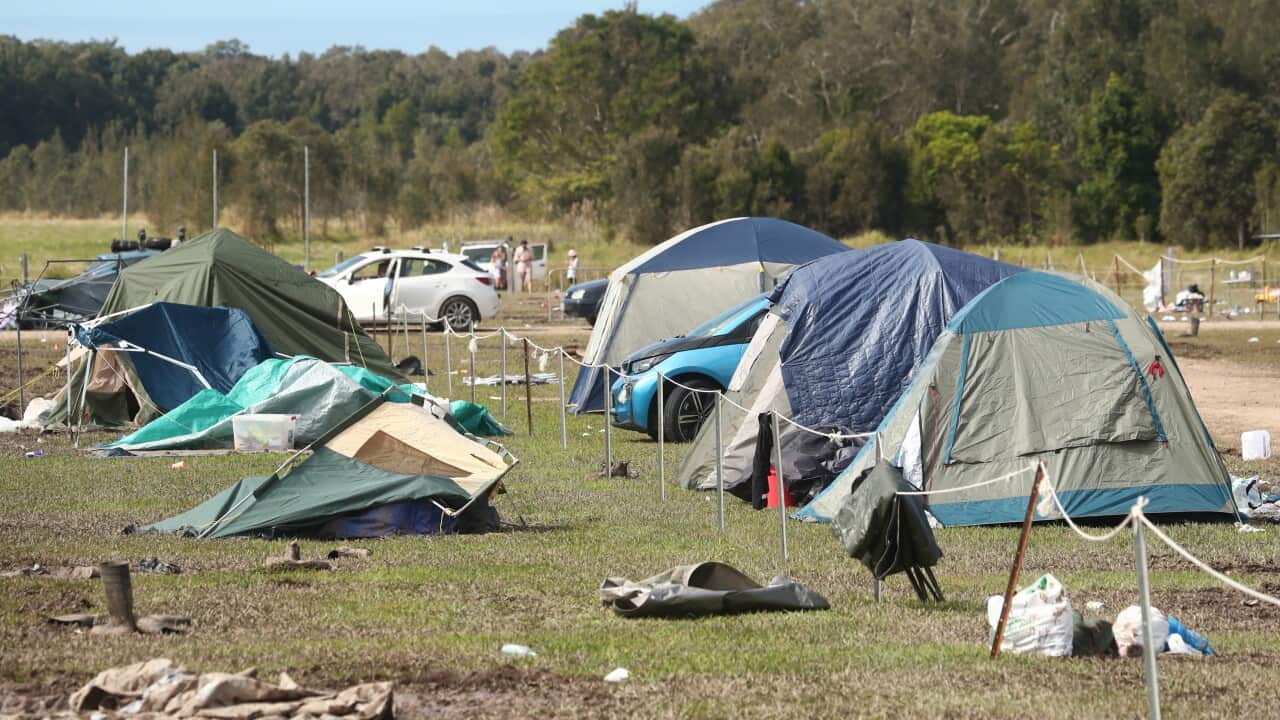 WET WEATHER SPLENDOUR IN THE GRASS AFTERMATH