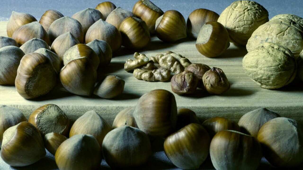 Magnesium strengthens immunity, bones and muscles
