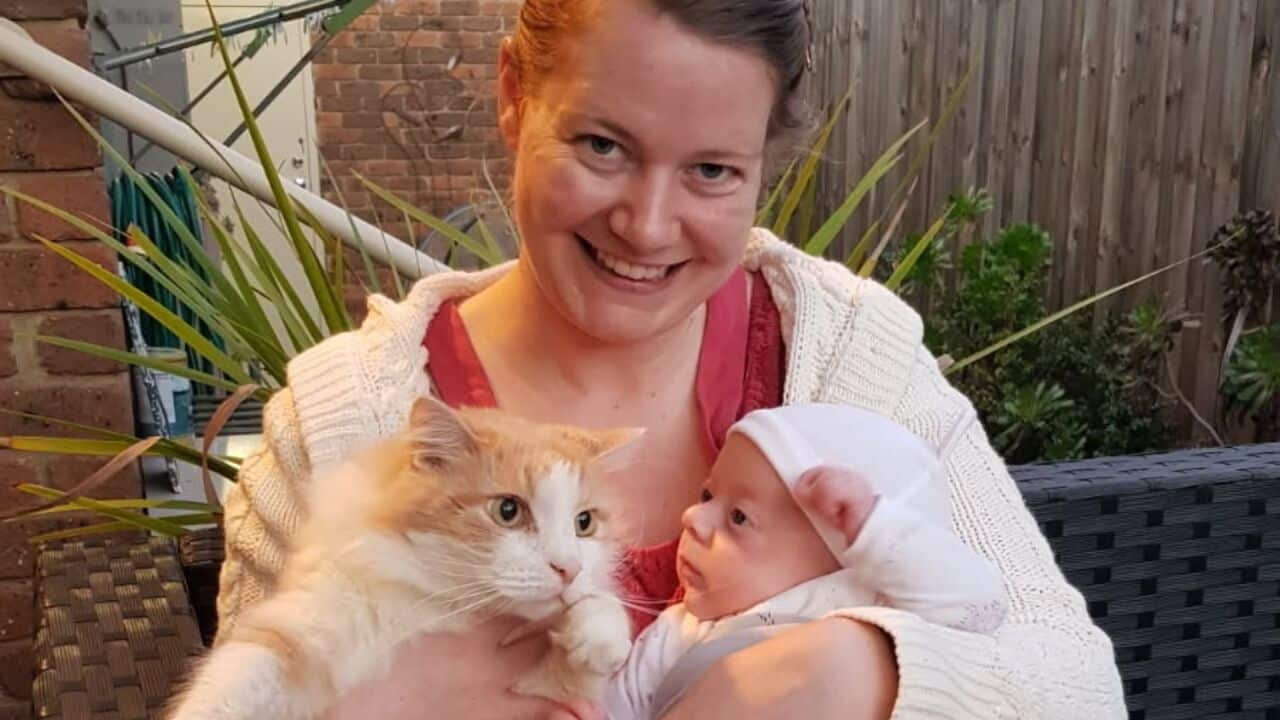 a woman sitting in a backyard smiling holding a ginger cat and a baby