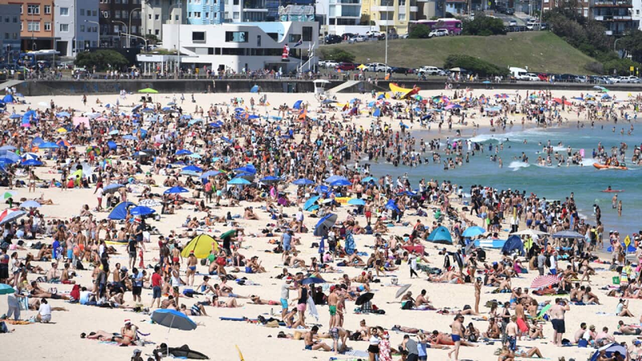 Christmas Day on Bondi Beach