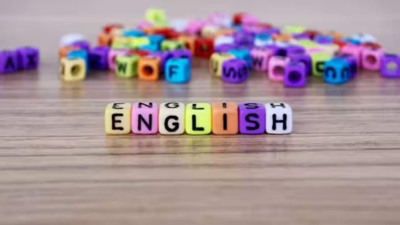 steps to boost your language skills.jpg