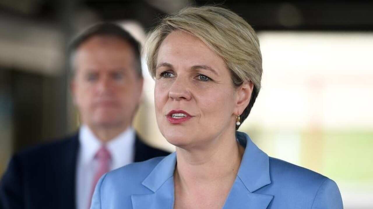 Tanya Plibersek