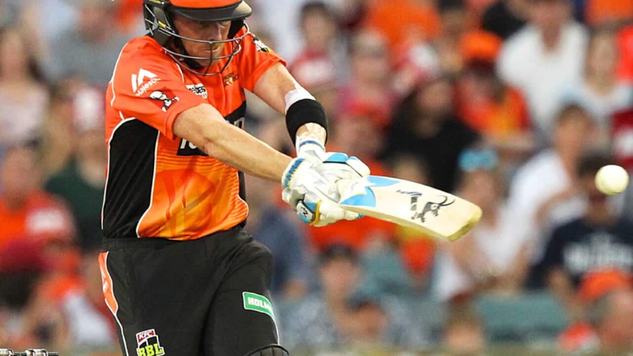 Perth Scorchers recruit Ian Bell
