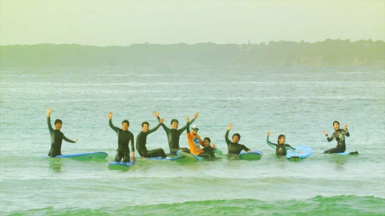 SEA teaches English to migrants and international students, and also organises extracurricular activities so they can get the full Aussie experience.