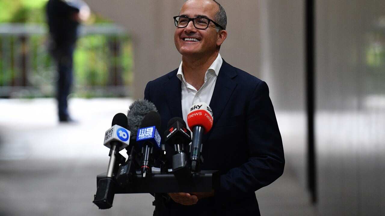 Acting Victorian Premier James Merlino addresses a media conference in Melbourne (AAP)