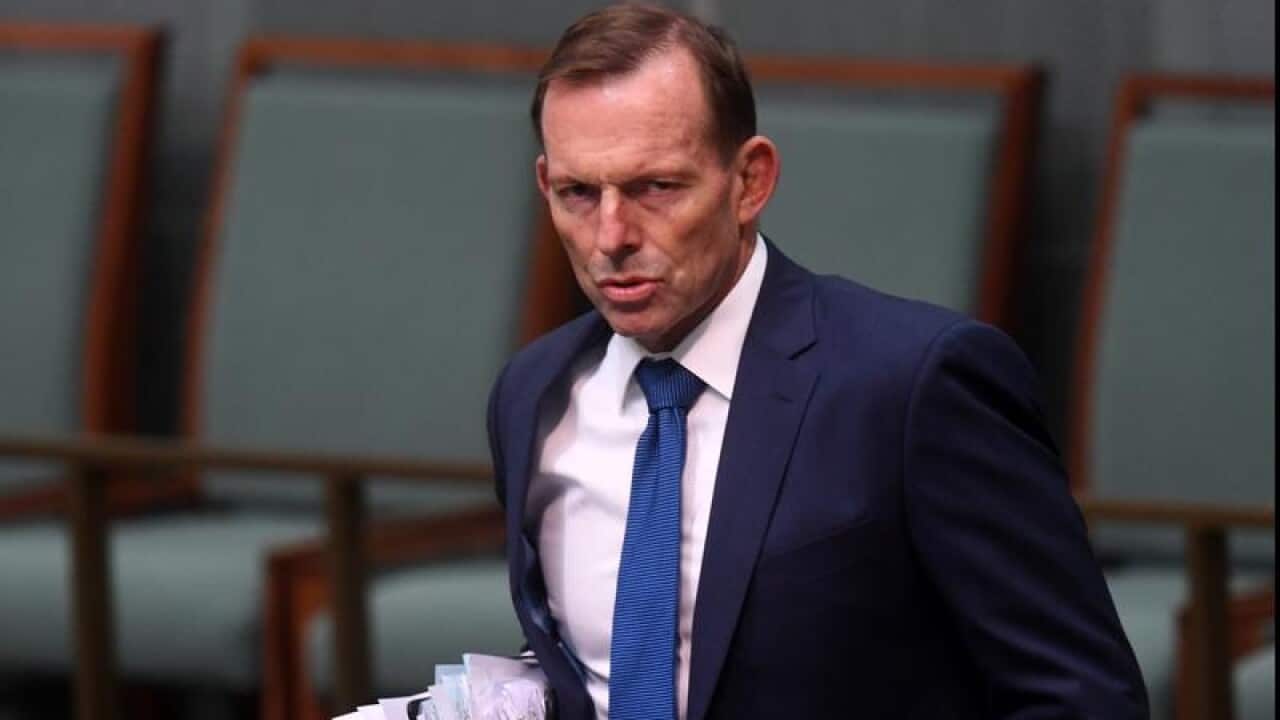 abbott