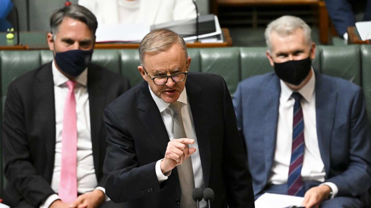 Prime Minister Anthony Albanese in Parliament House.