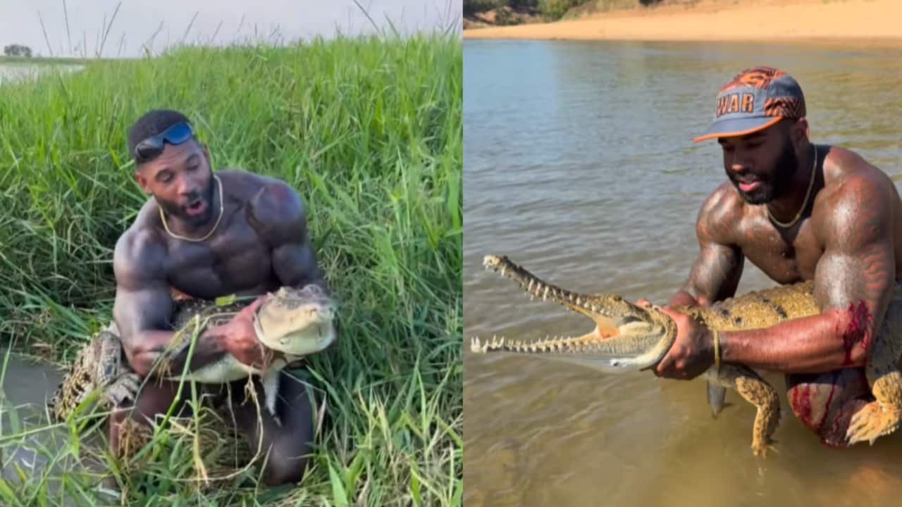 A composite of two images of the same man holding crocodiles in rivers