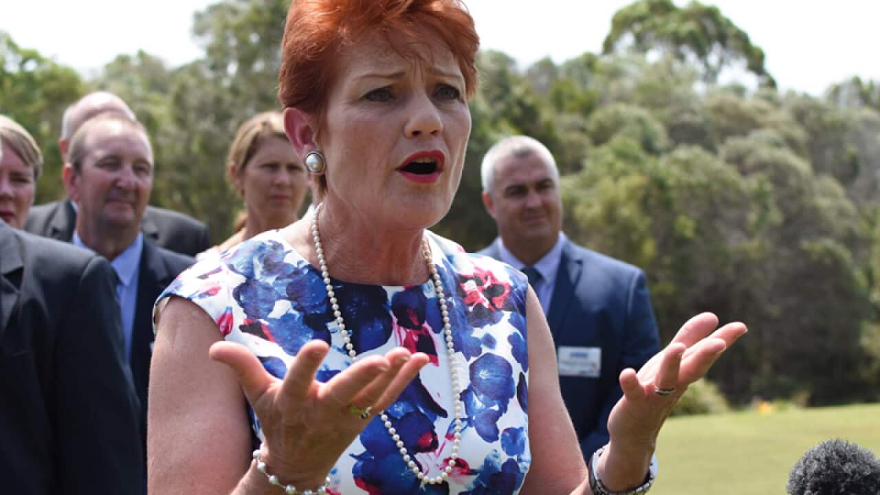 One Nation leader Pauline Hanson