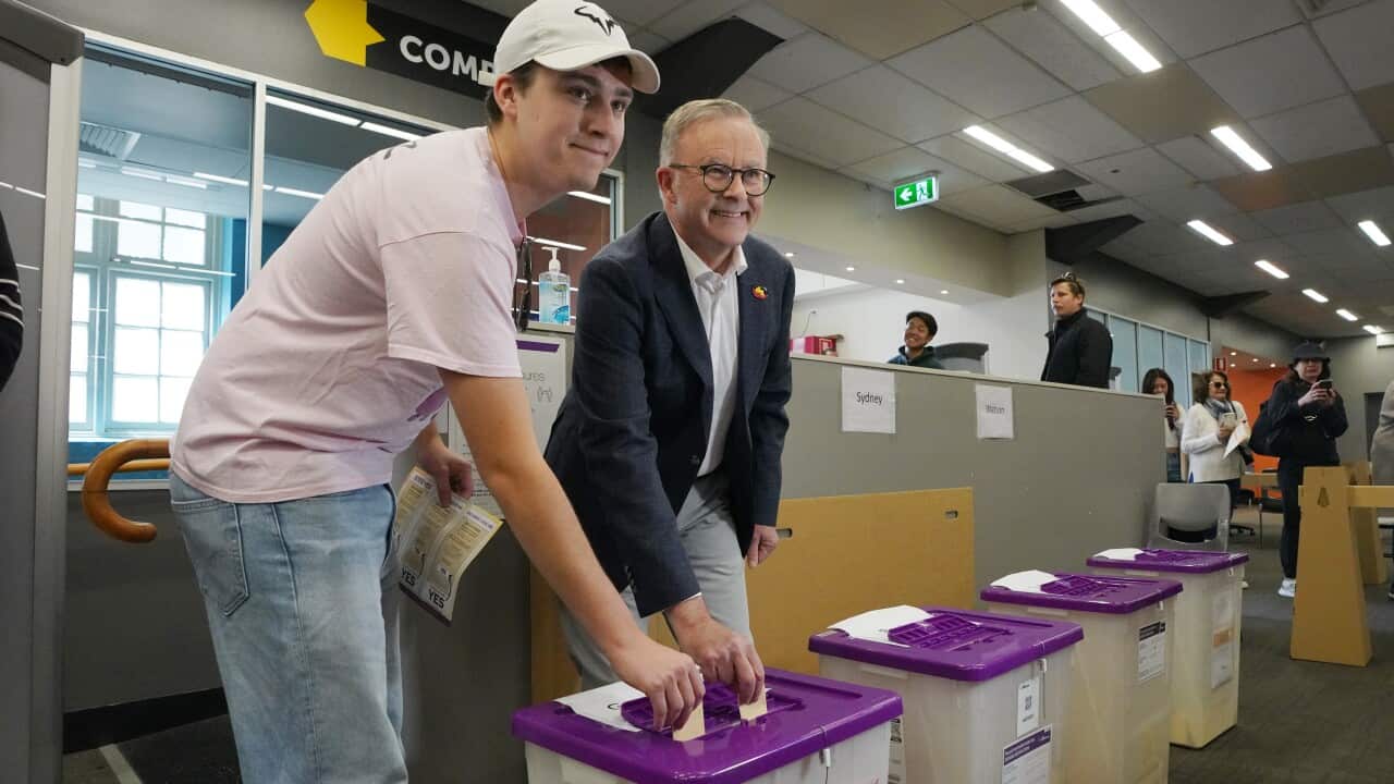 ANTHONY ALBANESE VOICE YES VOTE