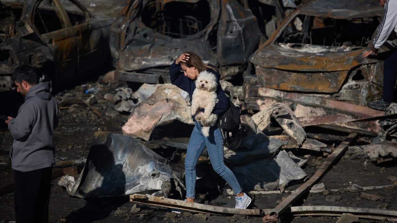 A woman holds her dog as she walks past burned cars a day after an Israeli airstrike in Beirut, Lebanon.