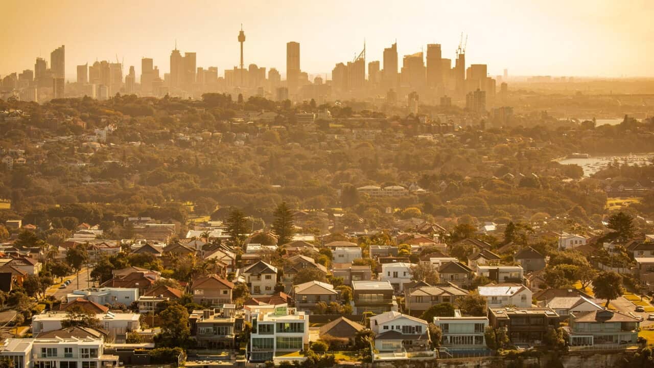 A baking hot day in Sydney
