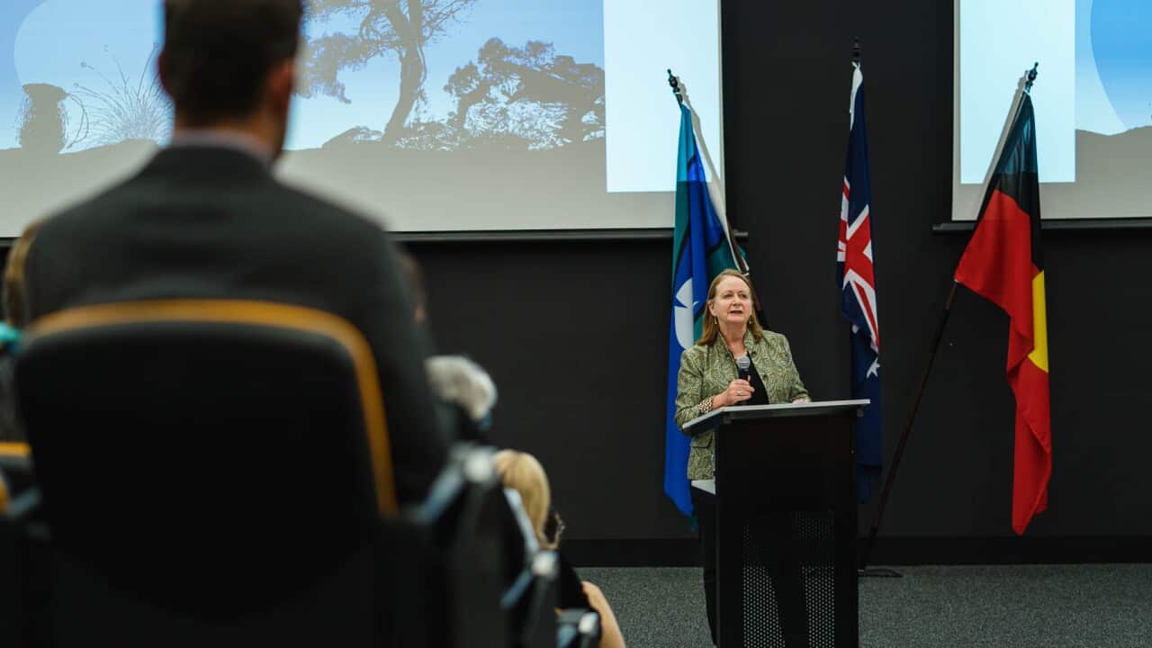 Distinguished Professor Maggie Walter, Pro Vice-Chancellor (Aboriginal Research and Leadership)